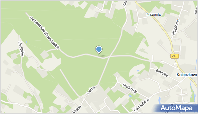 Koleczkowo, Partyzantów Kaszubskich, mapa Koleczkowo