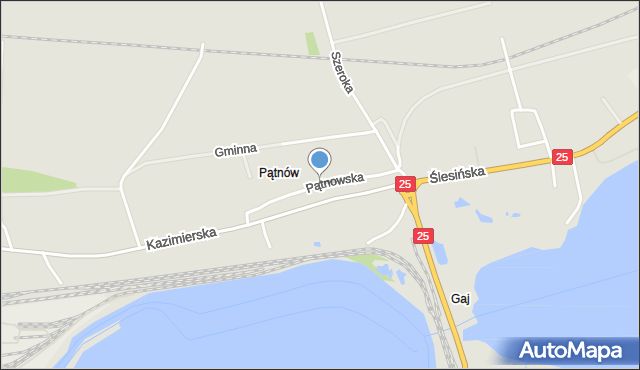 Konin, Pątnowska, mapa Konina