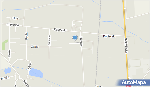 Krotoszyn, Pawia, mapa Krotoszyna