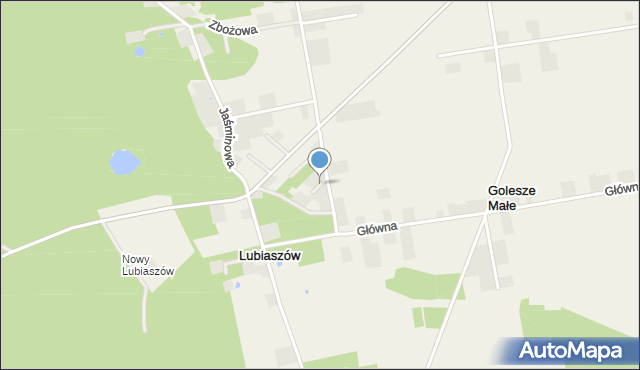 Lubiaszów, Paprociowa, mapa Lubiaszów