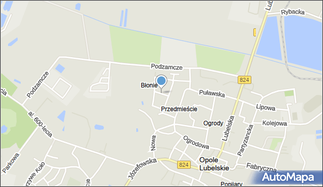 Opole Lubelskie, Pawia, mapa Opole Lubelskie