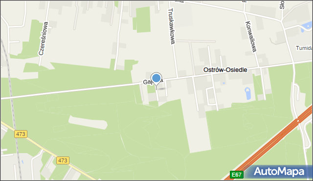 Ostrów gmina Łask, Paproci, mapa Ostrów gmina Łask