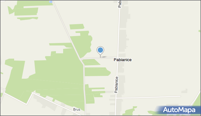 Pabianice gmina Janów, Pabianice, mapa Pabianice gmina Janów