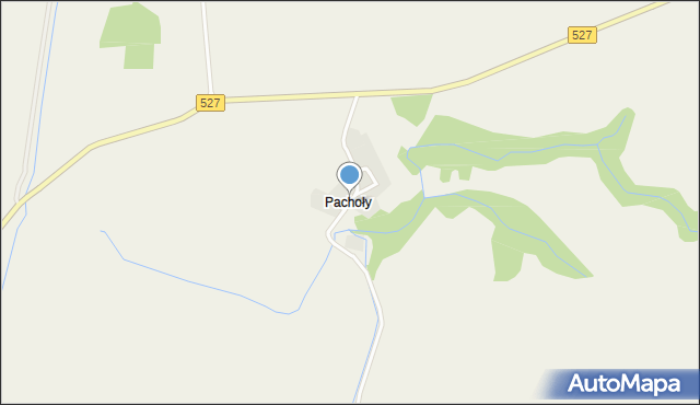 Pachoły gmina Dzierzgoń, Pachoły, mapa Pachoły gmina Dzierzgoń