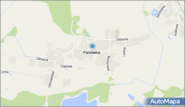 Paniowice, Paniowice, mapa Paniowice