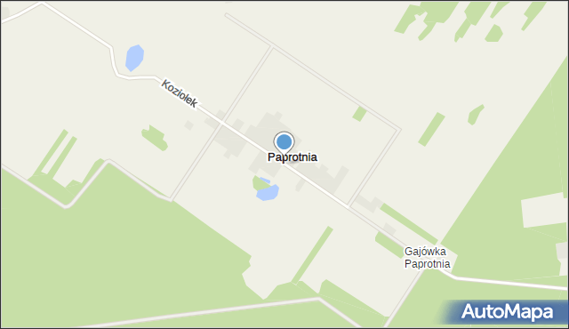 Paprotnia gmina Grabów nad Pilicą, Paprotnia, mapa Paprotnia gmina Grabów nad Pilicą