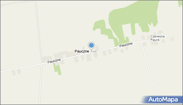 Pauczne, Pauczne, mapa Pauczne