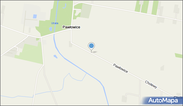 Pawłowice gmina Teresin, Pawłowice, mapa Pawłowice gmina Teresin