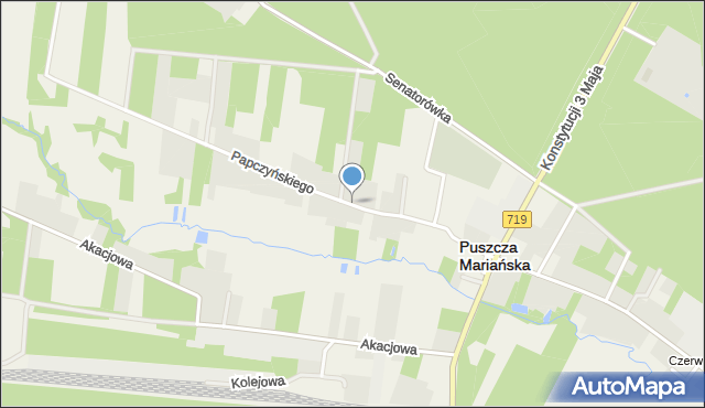 Puszcza Mariańska, Papczyńskiego Stanisława, mapa Puszcza Mariańska