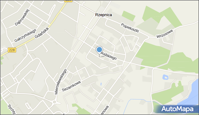 Rzepnica, Paderewskiego Ignacego Jana, mapa Rzepnica