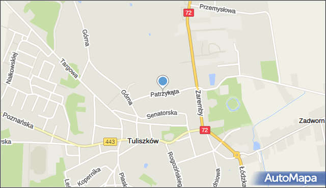 Tuliszków, Patrzykąta Bartłomieja, mapa Tuliszków