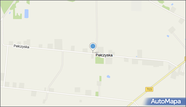 Pełczyska gmina Wartkowice, Pełczyska, mapa Pełczyska gmina Wartkowice