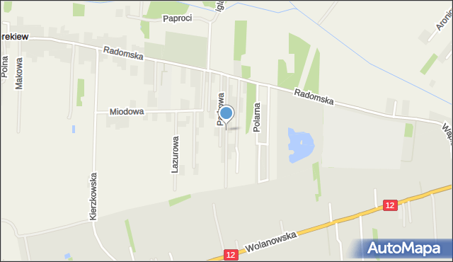 Cerekiew gmina Zakrzew, Piaskowa, mapa Cerekiew gmina Zakrzew