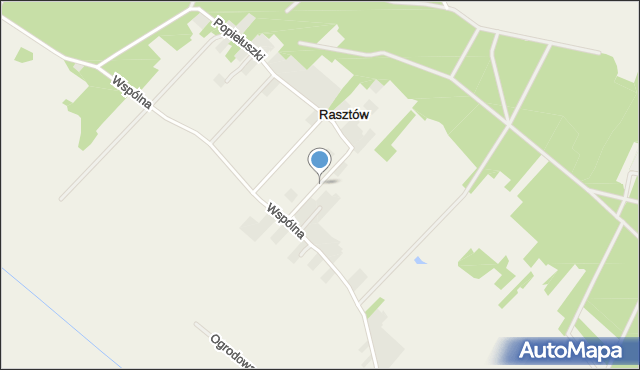 Rasztów, Pięknych Lasów, mapa Rasztów