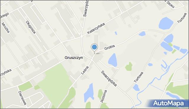 Gruszczyn gmina Swarzędz, Plac Gruszczyński, mapa Gruszczyn gmina Swarzędz