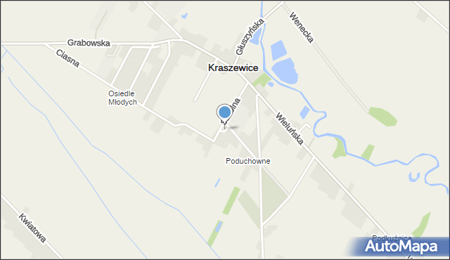 Kraszewice powiat ostrzeszowski, Plac Wolności, mapa Kraszewice powiat ostrzeszowski