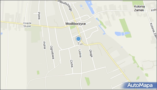 Modliborzyce powiat janowski, Plac Strażacki, mapa Modliborzyce powiat janowski