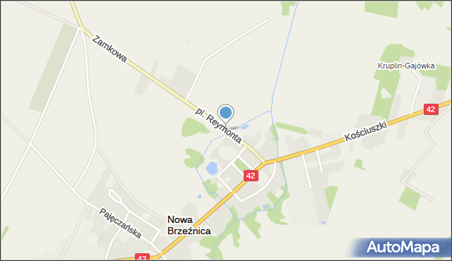 Nowa Brzeźnica, Plac Reymonta Władysława, mapa Nowa Brzeźnica