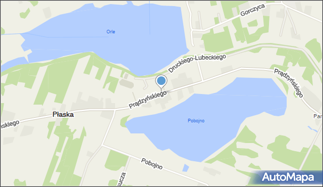 Płaska, Płaska, mapa Płaska