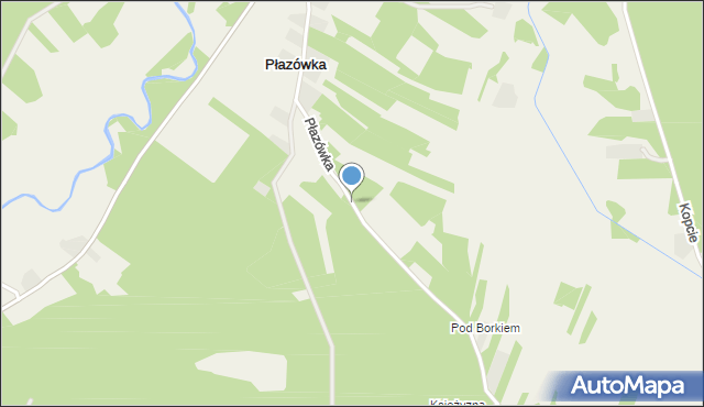 Płazówka gmina Dzikowiec, Płazówka, mapa Płazówka gmina Dzikowiec