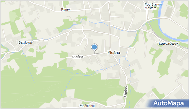 Pleśna powiat tarnowski, Pleśna, mapa Pleśna powiat tarnowski