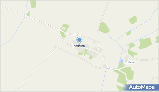 Pleśnica, Pleśnica, mapa Pleśnica