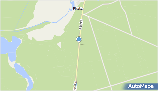 Pliszka, Pliszka, mapa Pliszka