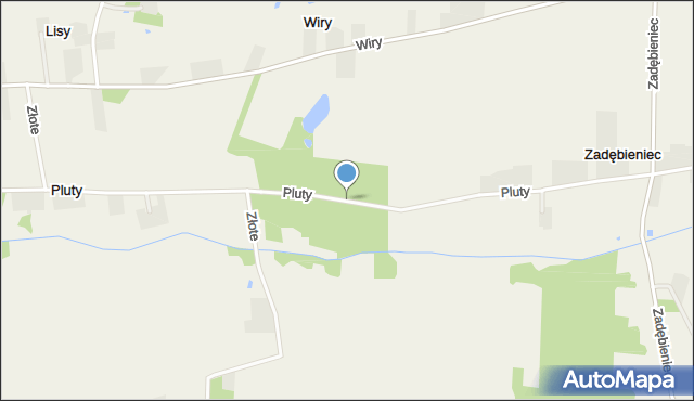 Pluty gmina Brąszewice, Pluty, mapa Pluty gmina Brąszewice