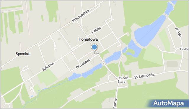 Poniatowa powiat opolski, Plac Konstytucji, mapa Poniatowa powiat opolski