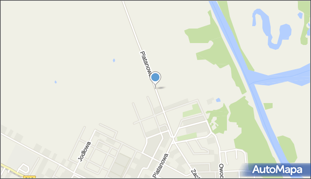 Psarskie gmina Śrem, Platanowa, mapa Psarskie gmina Śrem