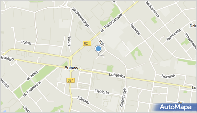 Puławy, Plac Chopina Fryderyka, mapa Puław