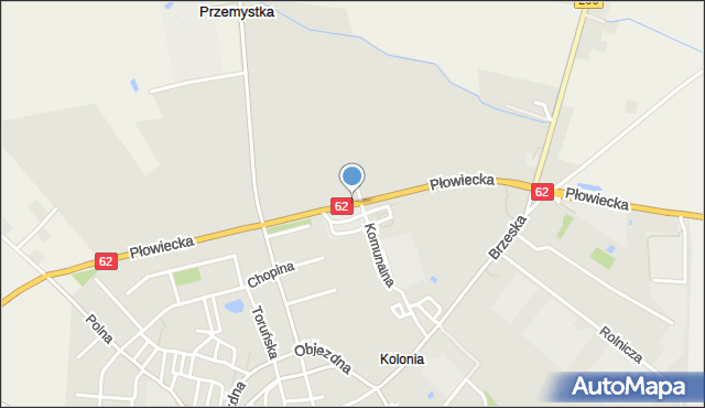 Radziejów, Płowiecka, mapa Radziejów