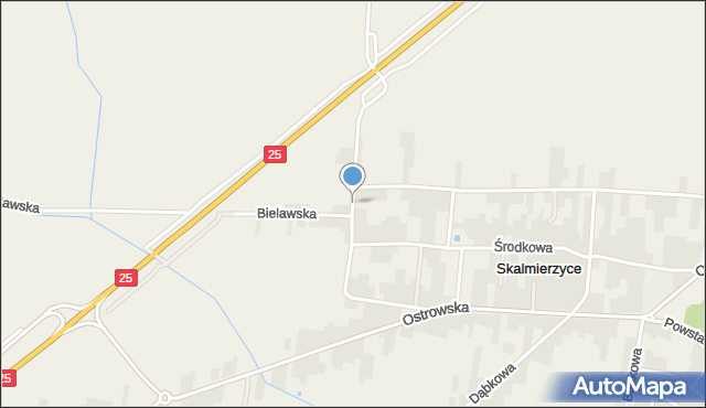 Skalmierzyce, Pleszewska, mapa Skalmierzyce