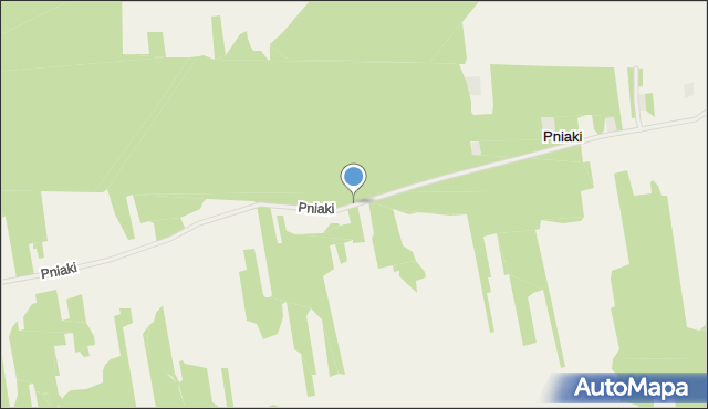 Pniaki gmina Kraśniczyn, Pniaki, mapa Pniaki gmina Kraśniczyn