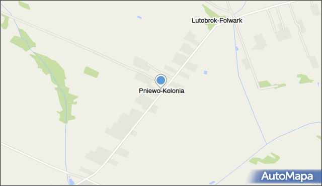 Pniewo-Kolonia, Pniewo-Kolonia, mapa Pniewo-Kolonia