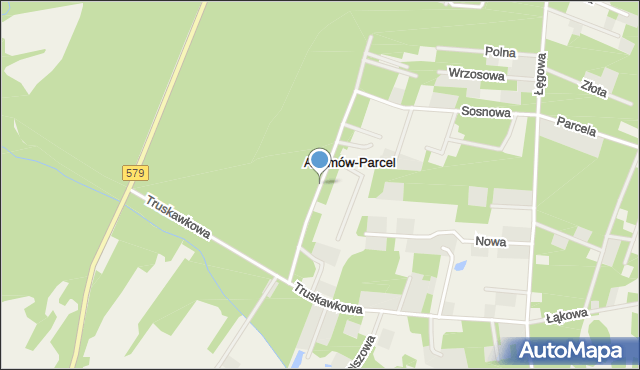 Adamów-Parcel, Podleśna, mapa Adamów-Parcel