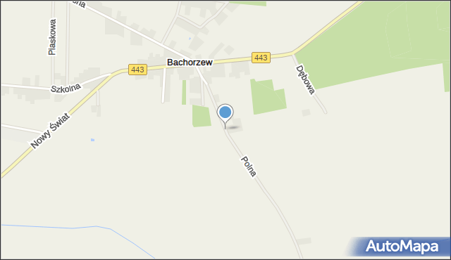 Bachorzew, Polna, mapa Bachorzew