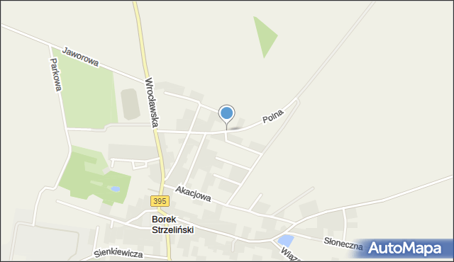 Borek Strzeliński, Polna, mapa Borek Strzeliński