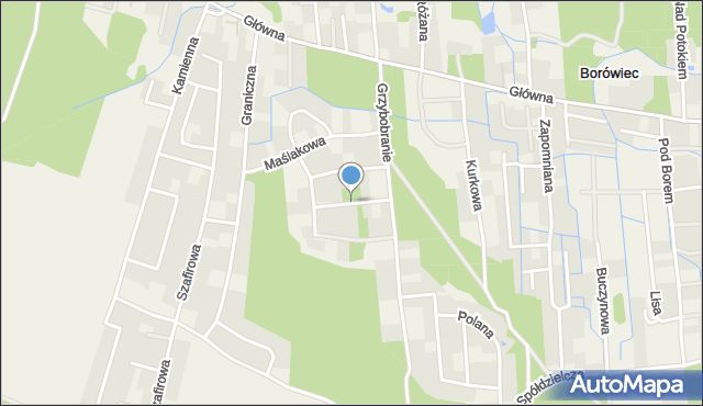 Borówiec gmina Kórnik, Podgrzybkowa, mapa Borówiec gmina Kórnik