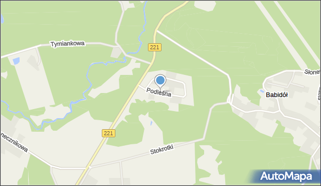 Czapielsk, Podleśna, mapa Czapielsk