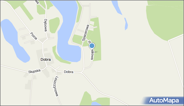 Dobra gmina Dębnica Kaszubska, Poziomkowa, mapa Dobra gmina Dębnica Kaszubska