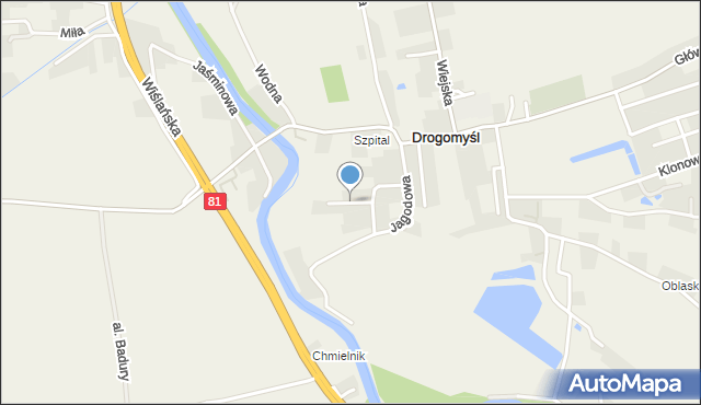 Drogomyśl, Poziomkowa, mapa Drogomyśl