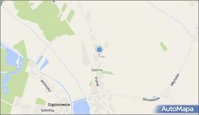 Gąsiorowice, Polna, mapa Gąsiorowice
