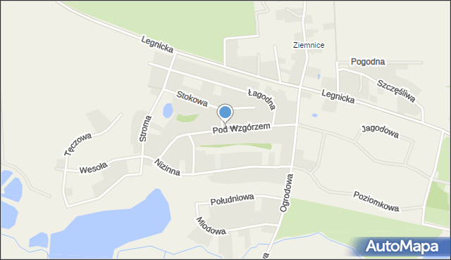 Grzybiany, Pod Wzgórzem, mapa Grzybiany