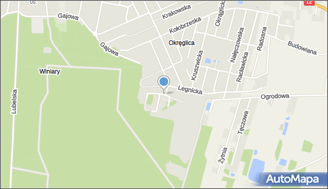 Kalisz, Polanka, mapa Kalisza