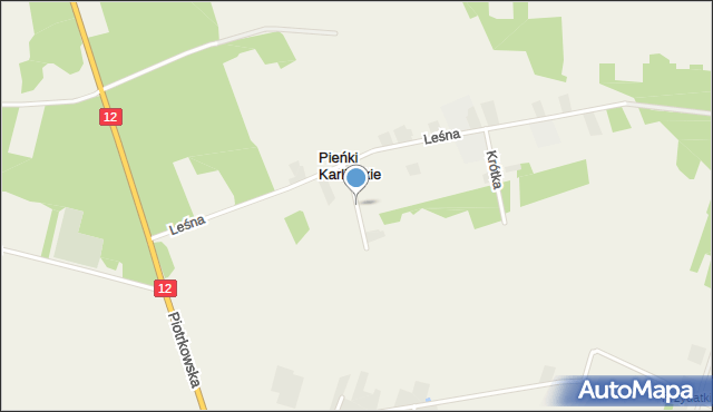 Karlin gmina Moszczenica, Polna, mapa Karlin gmina Moszczenica