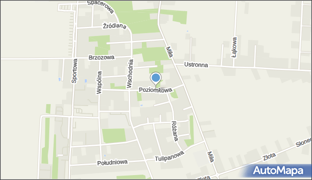 Kleszczów powiat bełchatowski, Poziomkowa, mapa Kleszczów powiat bełchatowski