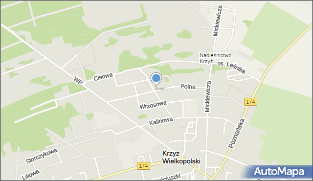 Krzyż Wielkopolski, Polna, mapa Krzyż Wielkopolski