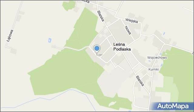 Leśna Podlaska, Podleśna, mapa Leśna Podlaska