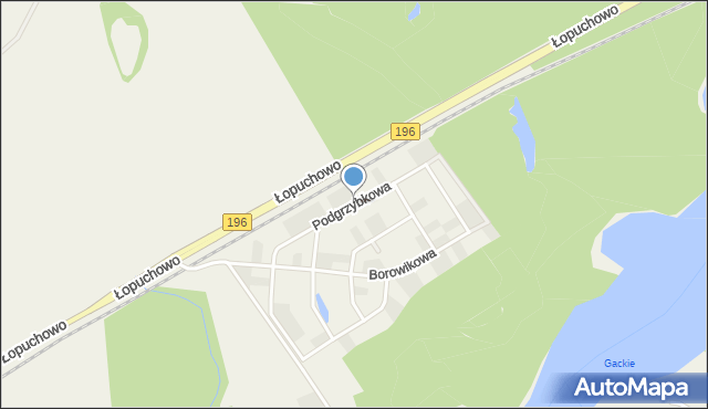 Łopuchowo gmina Murowana Goślina, Podgrzybkowa, mapa Łopuchowo gmina Murowana Goślina